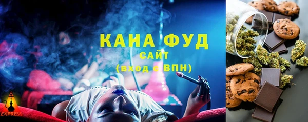 молекула духа Сясьстрой
