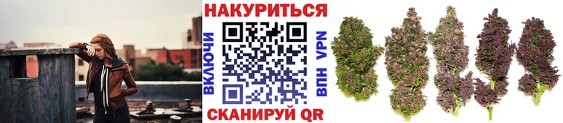 Шишки марихуана марихуана  Дятьково 